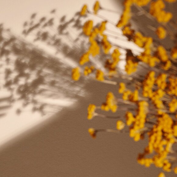 L'Occitane Immortelle Overnight Reset Oil In Serum Refill 1.6oz / 50ML *NEW* - Picture 7 of 8